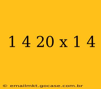 1 4 20 x 1 4