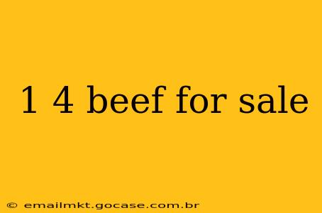 1 4 beef for sale
