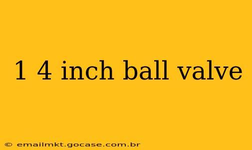 1 4 inch ball valve