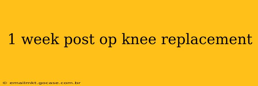 1 week post op knee replacement