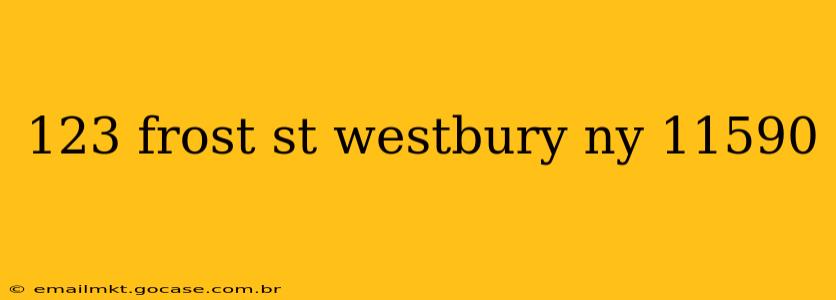 123 frost st westbury ny 11590