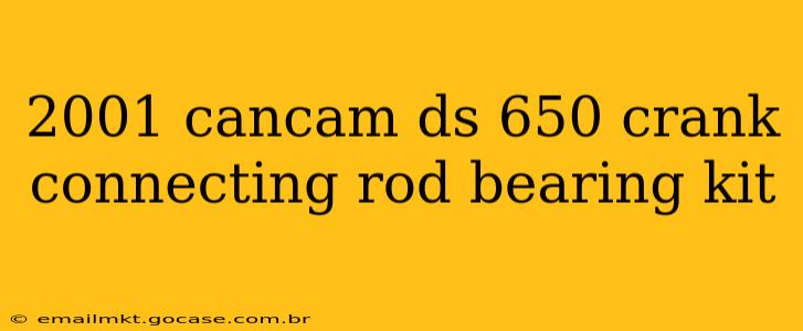 2001 cancam ds 650 crank connecting rod bearing kit