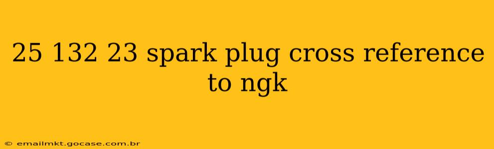 25 132 23 spark plug cross reference to ngk