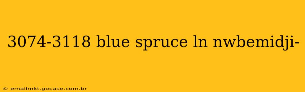 3074-3118 blue spruce ln nwbemidji-