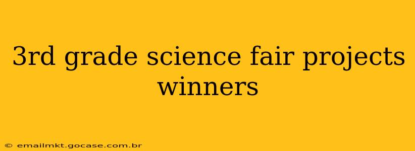 3rd grade science fair projects winners