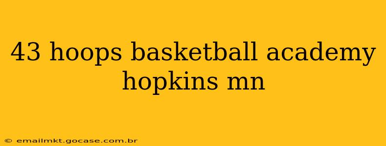 43 hoops basketball academy hopkins mn