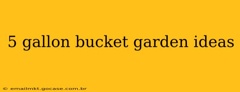 5 gallon bucket garden ideas