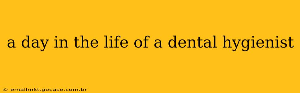 a day in the life of a dental hygienist
