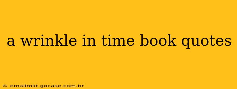 a wrinkle in time book quotes