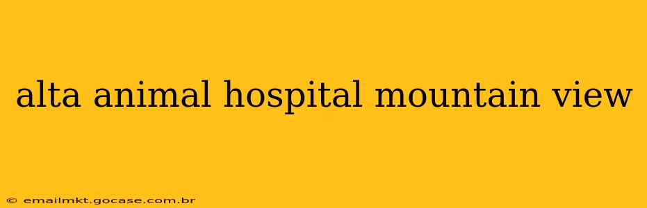 alta animal hospital mountain view