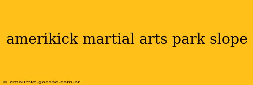 amerikick martial arts park slope