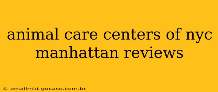 animal care centers of nyc manhattan reviews