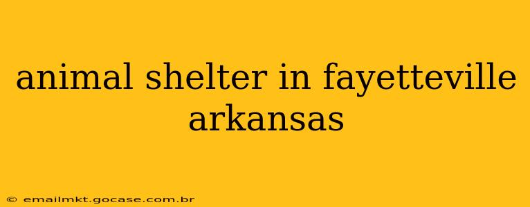 animal shelter in fayetteville arkansas