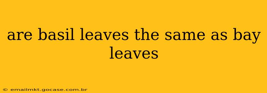 are basil leaves the same as bay leaves