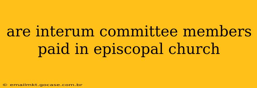 are interum committee members paid in episcopal church