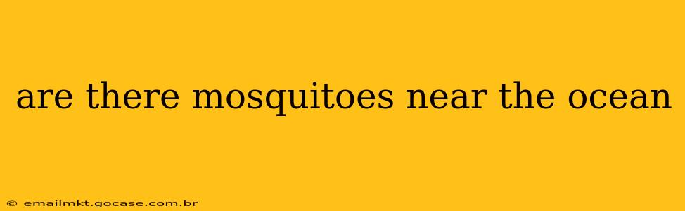 are there mosquitoes near the ocean