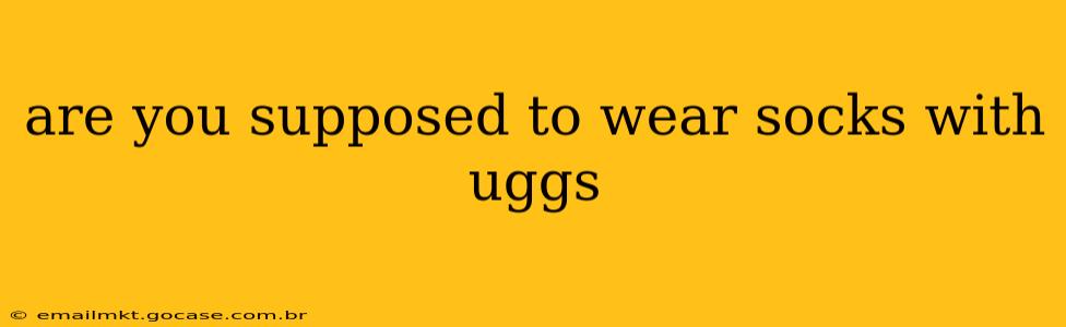 are you supposed to wear socks with uggs