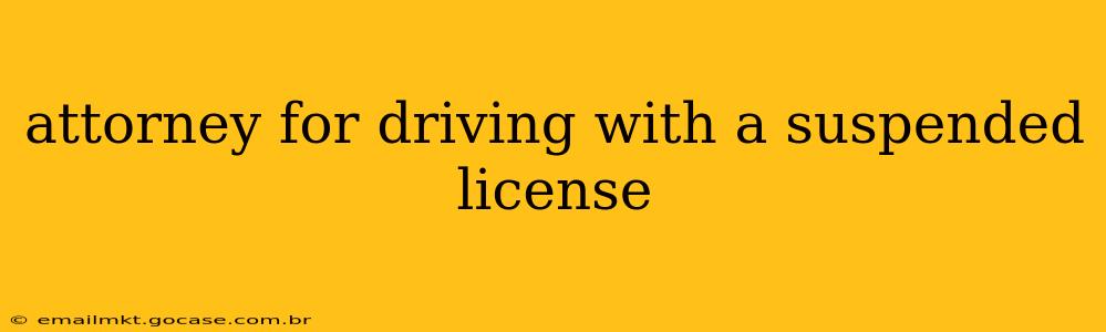 attorney for driving with a suspended license