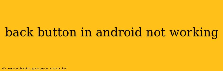 back button in android not working