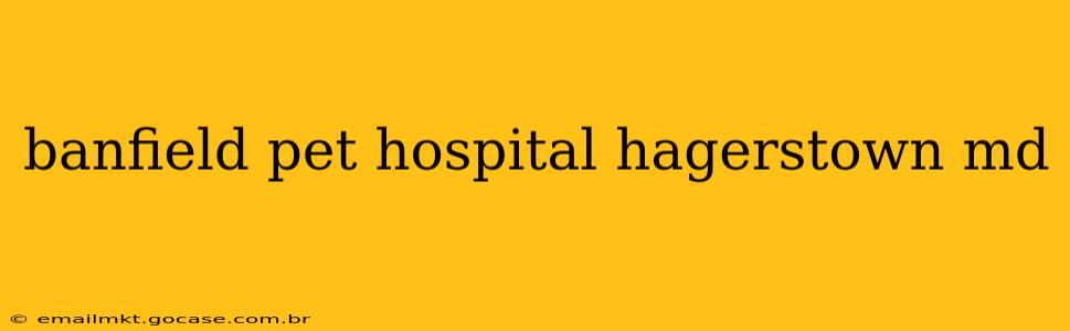 banfield pet hospital hagerstown md
