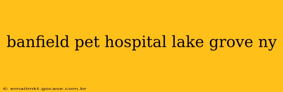 banfield pet hospital lake grove ny