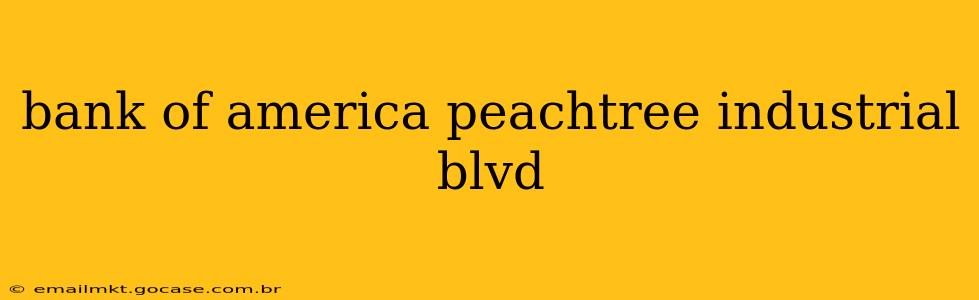 bank of america peachtree industrial blvd