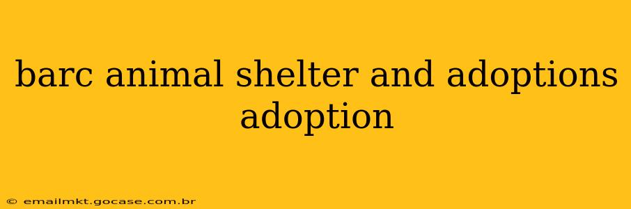barc animal shelter and adoptions adoption