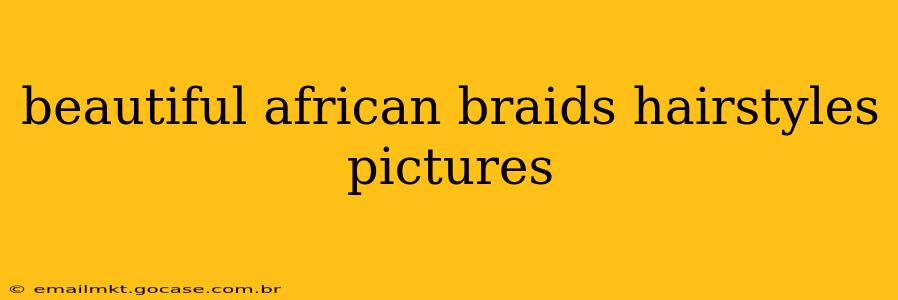 beautiful african braids hairstyles pictures
