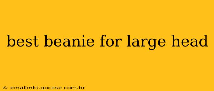 best beanie for large head