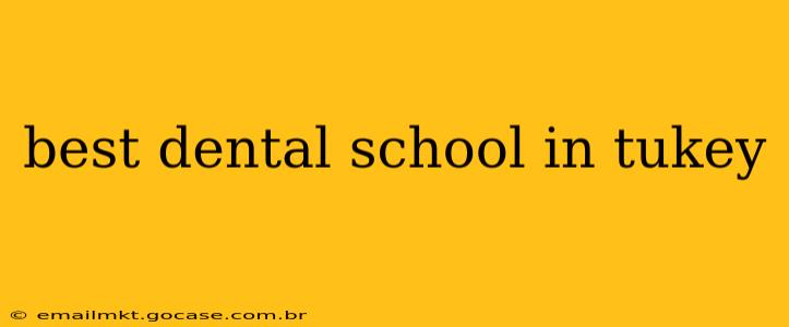 best dental school in tukey
