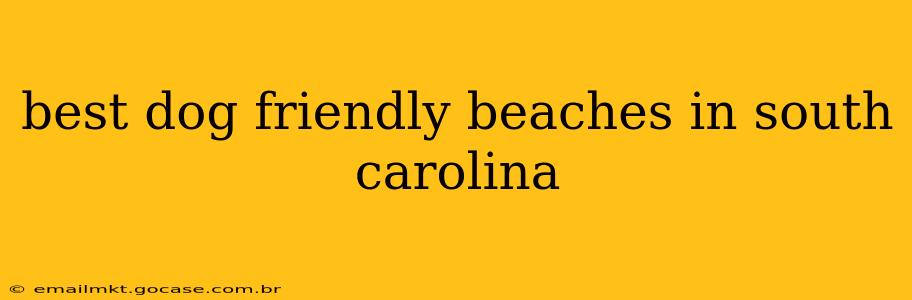 best dog friendly beaches in south carolina