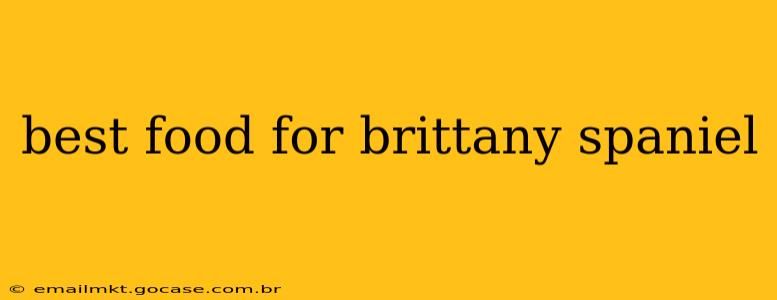 best food for brittany spaniel