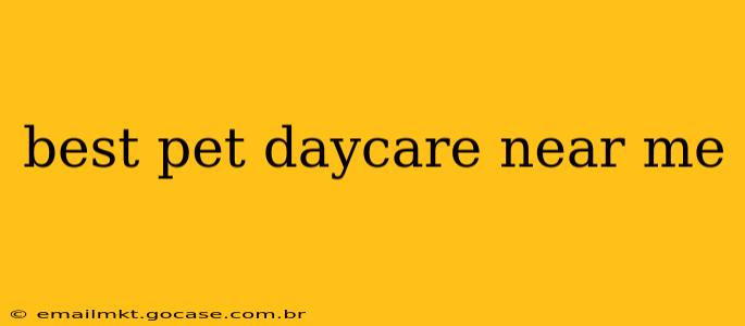 best pet daycare near me