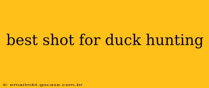 best shot for duck hunting