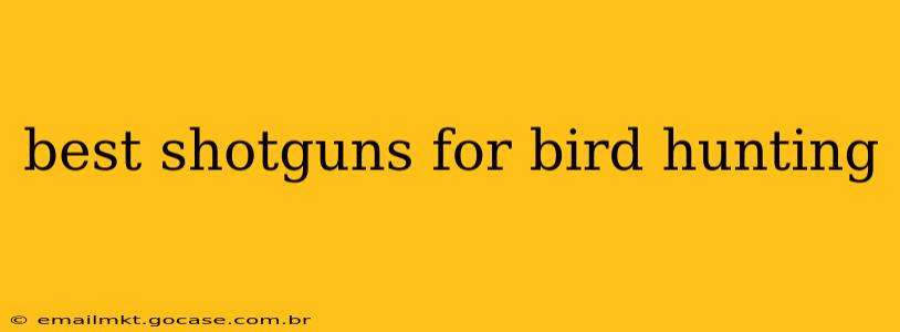 best shotguns for bird hunting