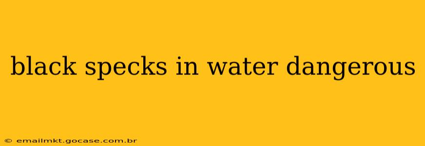 black specks in water dangerous