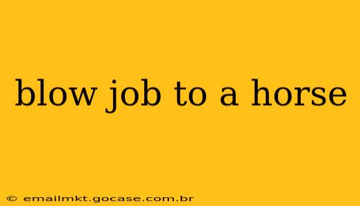 blow job to a horse