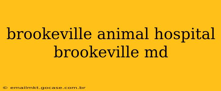 brookeville animal hospital brookeville md