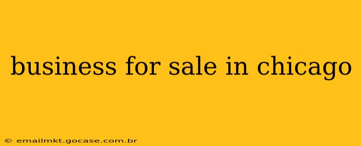 business for sale in chicago
