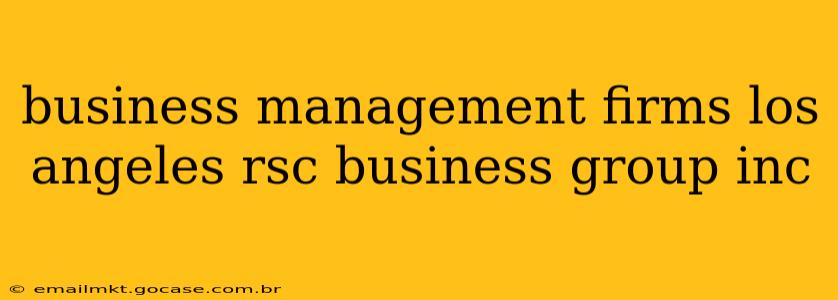 business management firms los angeles rsc business group inc