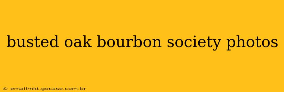 busted oak bourbon society photos