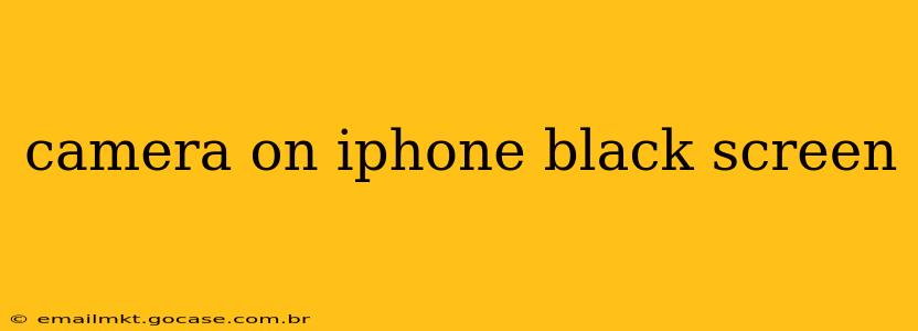 camera on iphone black screen