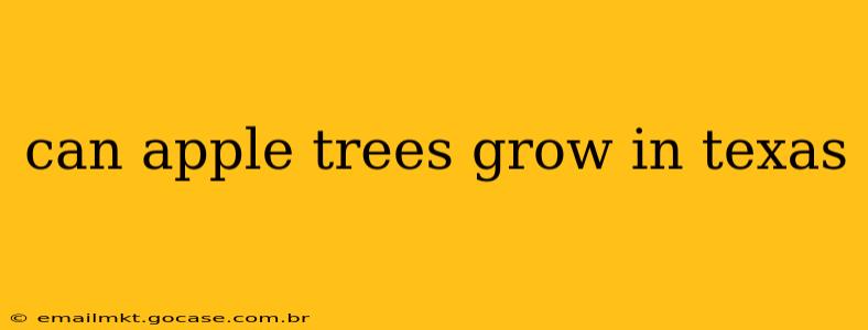 can apple trees grow in texas
