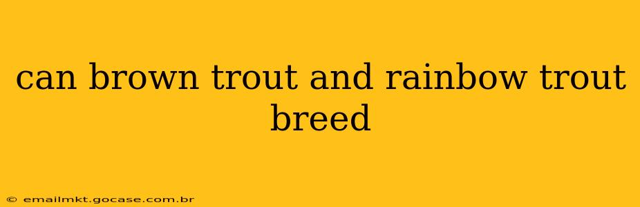 can brown trout and rainbow trout breed