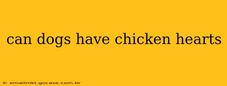 can dogs have chicken hearts