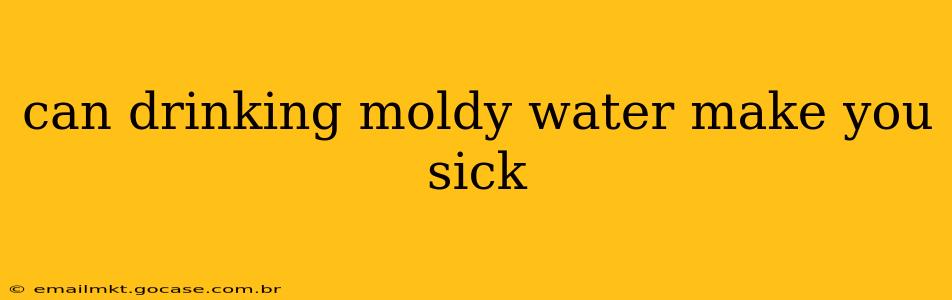 can drinking moldy water make you sick
