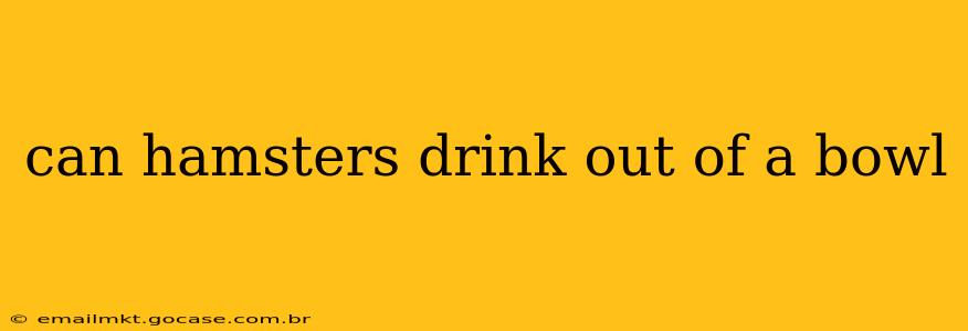 can hamsters drink out of a bowl