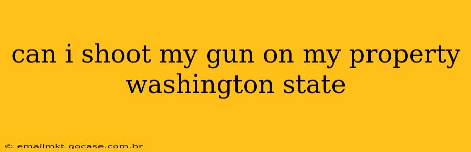 can i shoot my gun on my property washington state