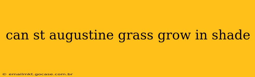 can st augustine grass grow in shade
