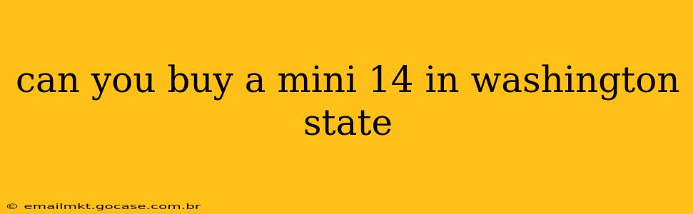 can you buy a mini 14 in washington state